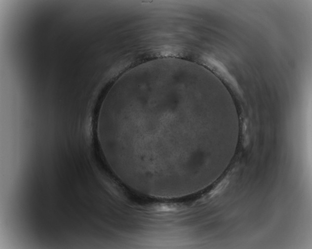 X0000090700250200707201202