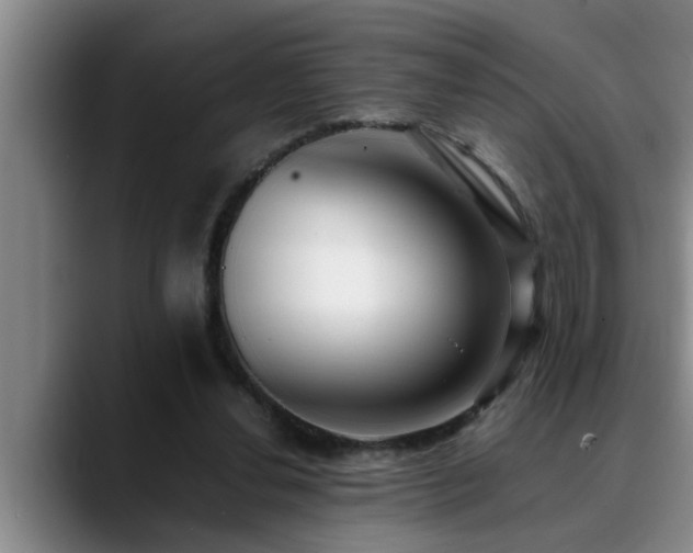 X0000090700252200707201202