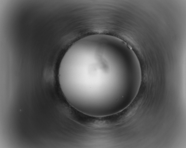 X0000090700256200707201202