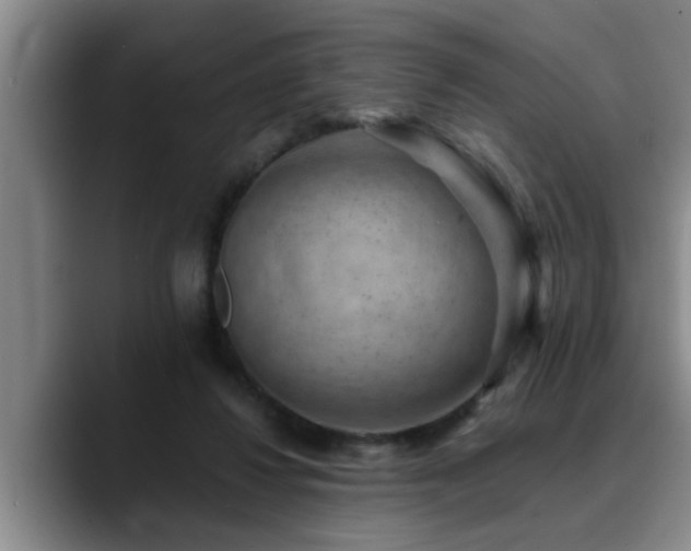 X0000090700260200707201202