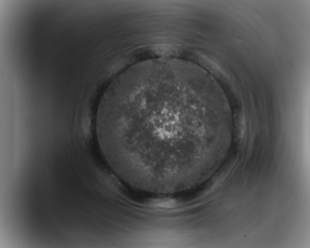 X0000090700266200707201203