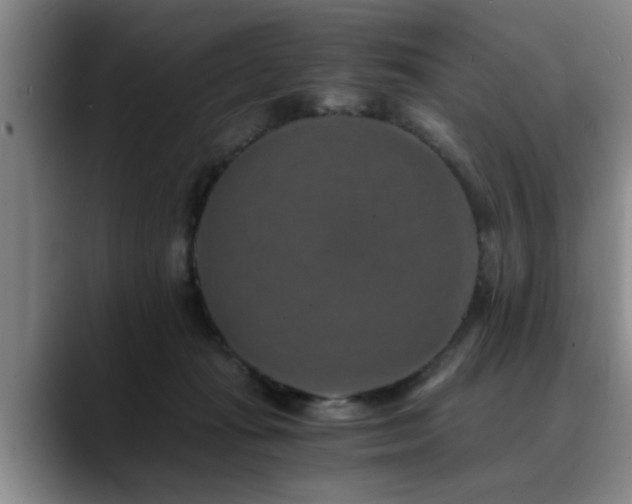 X0000090700269200707201203