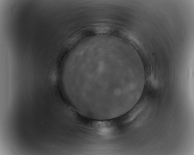 X0000090700277200707201203