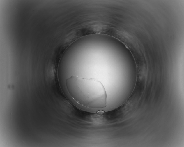 X0000090700279200707201203