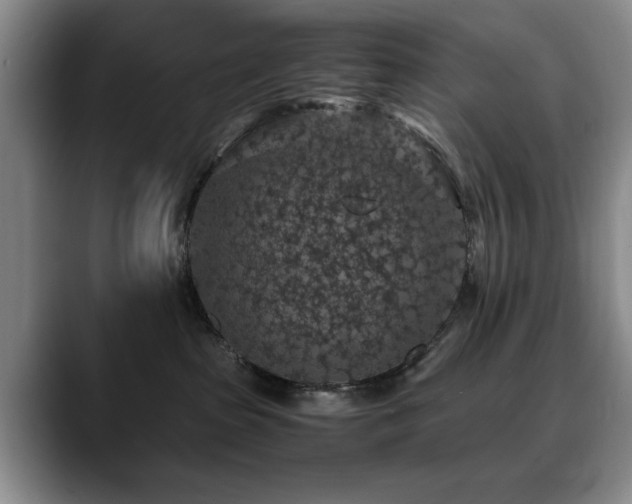 X0000090700285200707201203