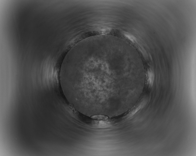 X0000090700286200707201203