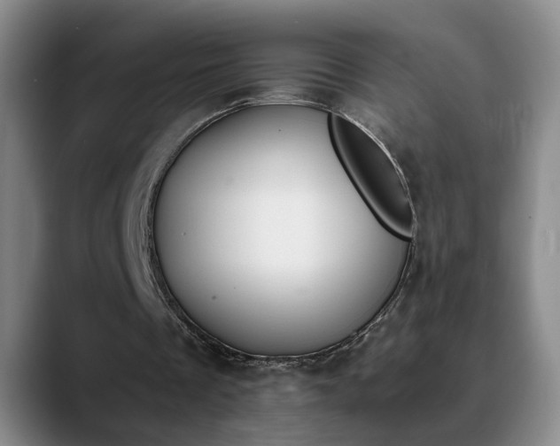 X0000090700289200707201202