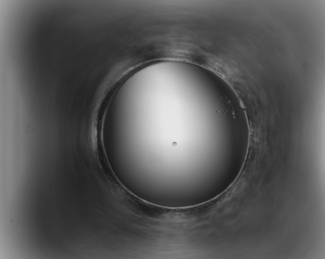 X0000090700294200707201202