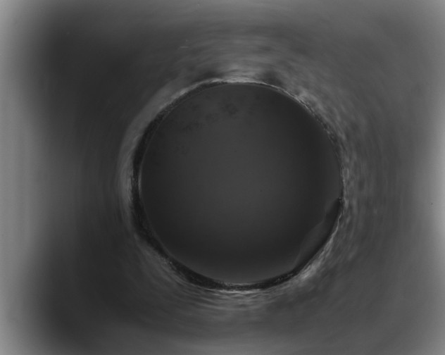 X0000090700295200707201202