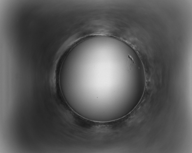 X0000090700296200707201202