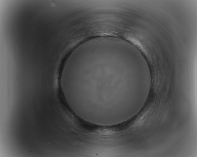 X0000090700299200707201202