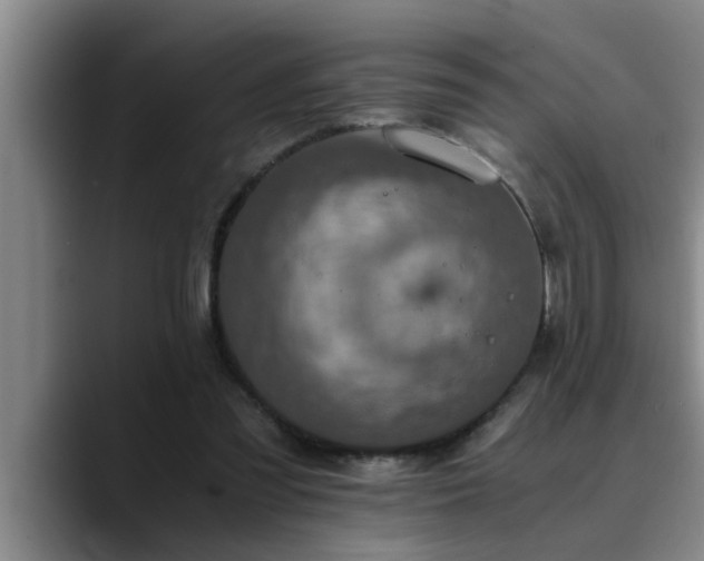 X0000090700301200707201202