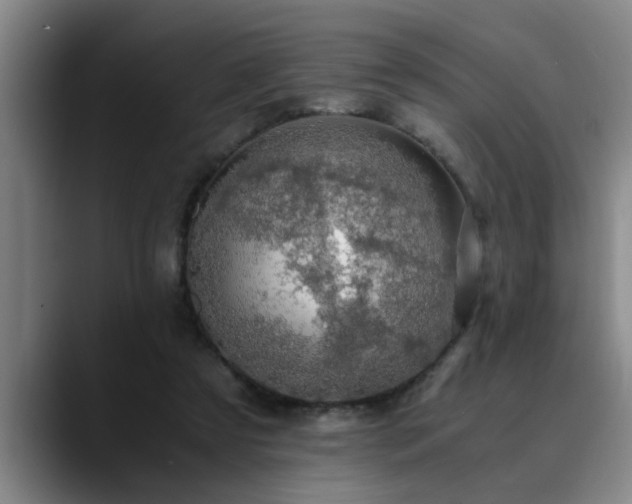 X0000090700305200707201202