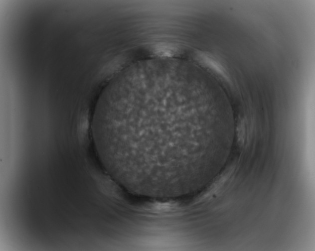 X0000090700314200707201202