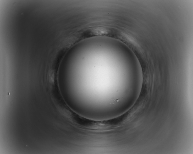 X0000090700315200707201202