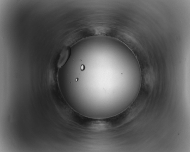 X0000090700316200707201202