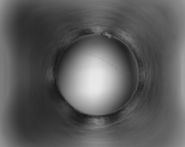 X0000090700317200707201202