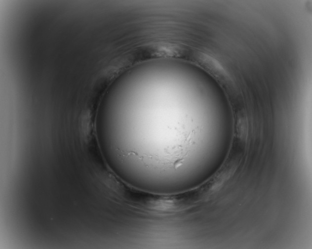 X0000090700318200707201202