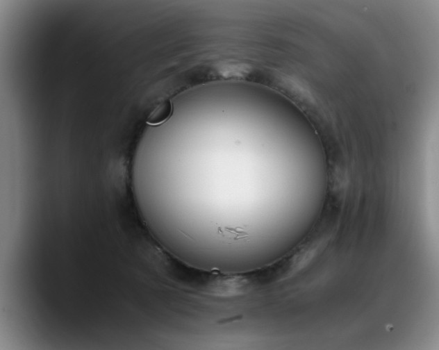 X0000090700321200707201202