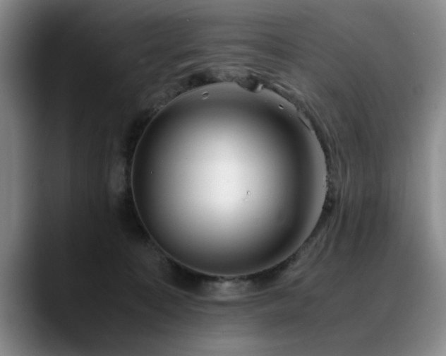 X0000090700323200707201202