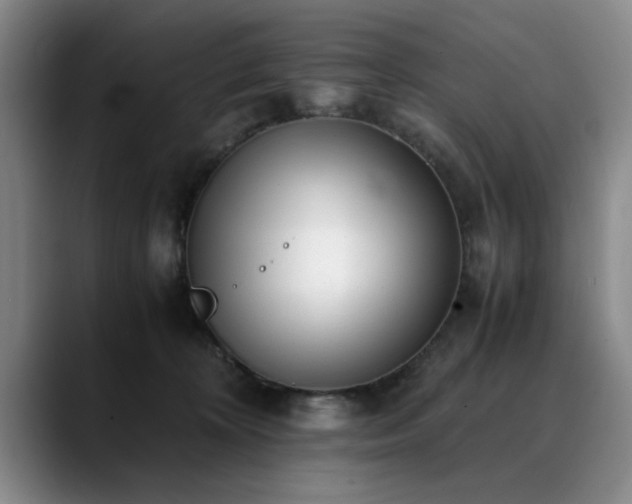 X0000090700324200707201202