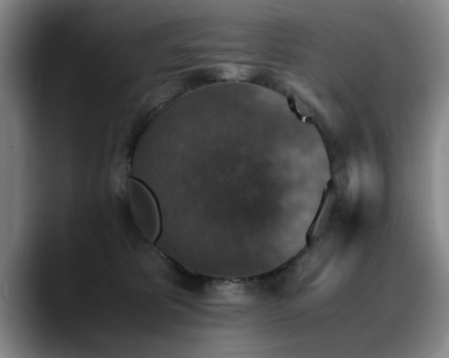 X0000090700325200707201202