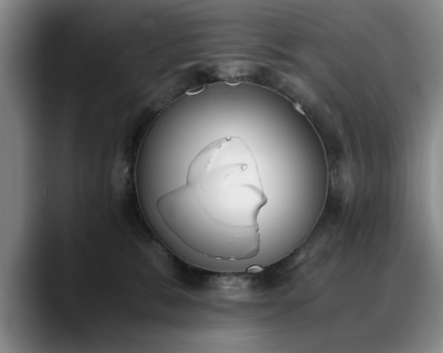 X0000090700327200707201202