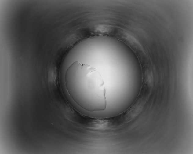 X0000090700328200707201202