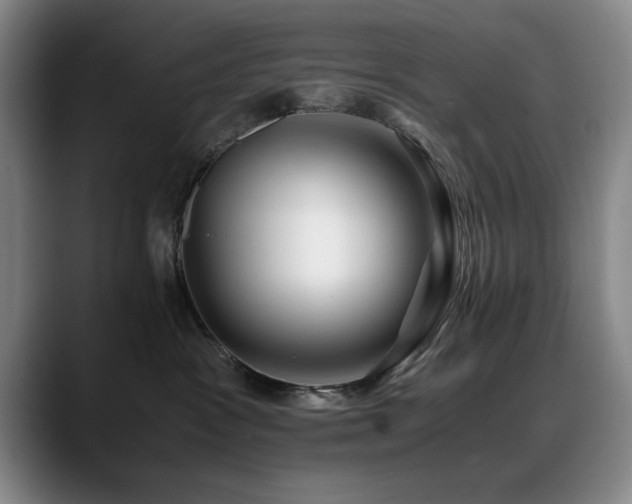 X0000090700333200707201202