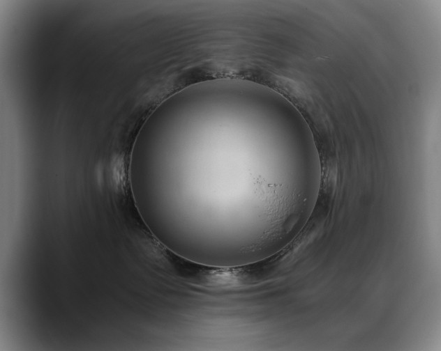 X0000090700335200707201202