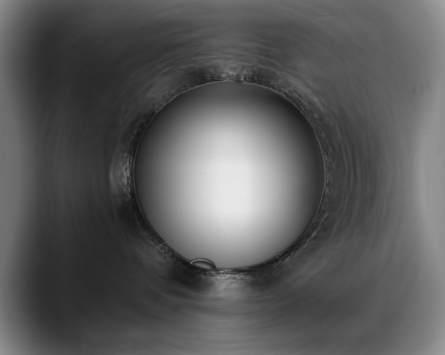 X0000090700336200707201202