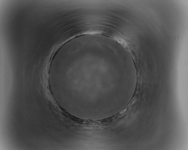 X0000090700337200707201201