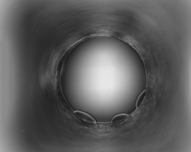 X0000090700338200707201201