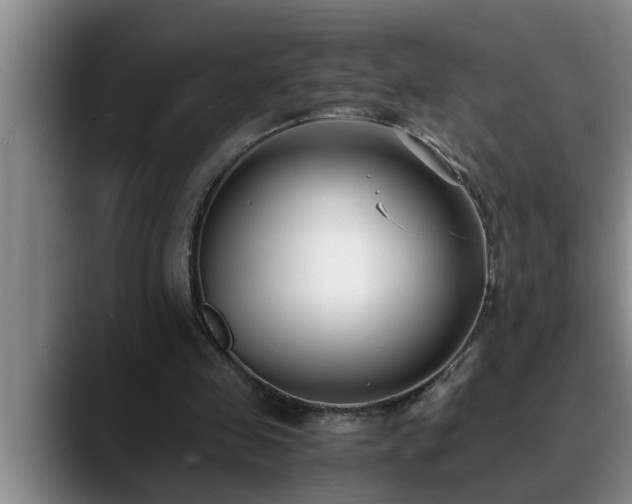 X0000090700341200707201201