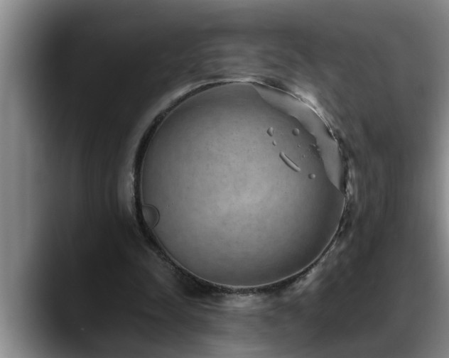 X0000090700342200707201201