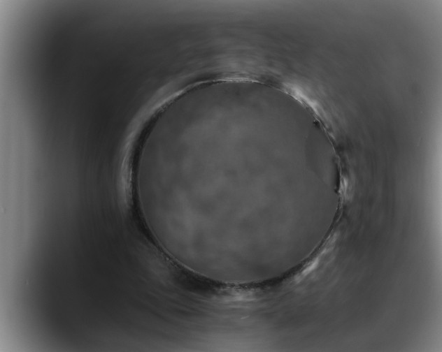 X0000090700343200707201201