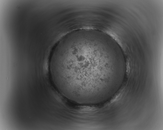 X0000090700347200707201201