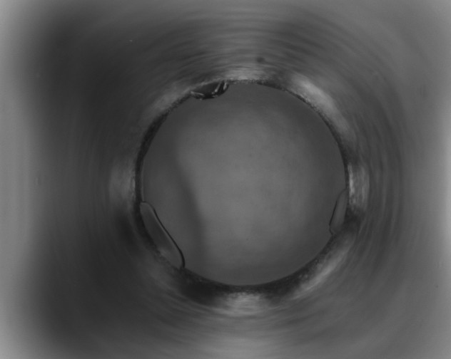 X0000090700348200707201201