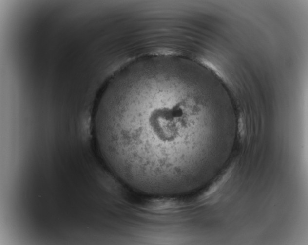 X0000090700351200707201201