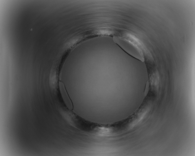 X0000090700352200707201201