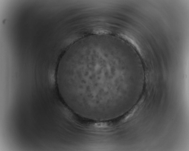 X0000090700353200707201201