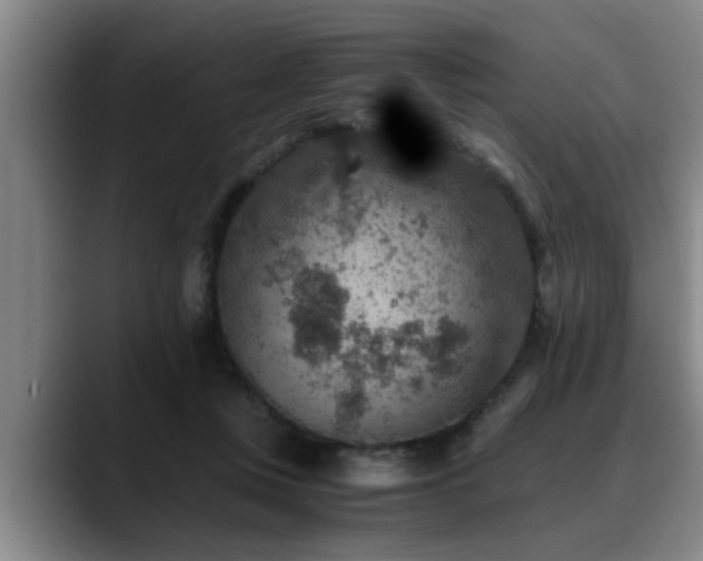 X0000090700359200707201201