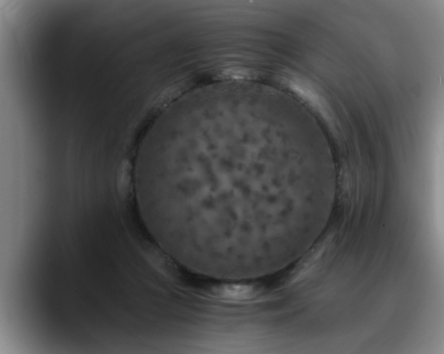 X0000090700361200707201201