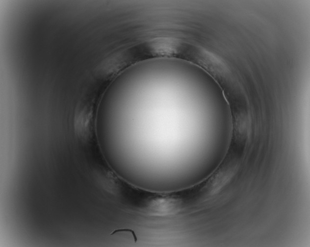 X0000090700364200707201201