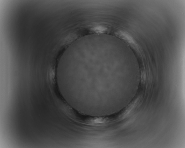 X0000090700365200707201201