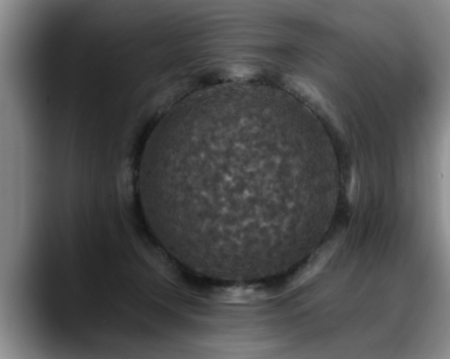 X0000090700366200707201201