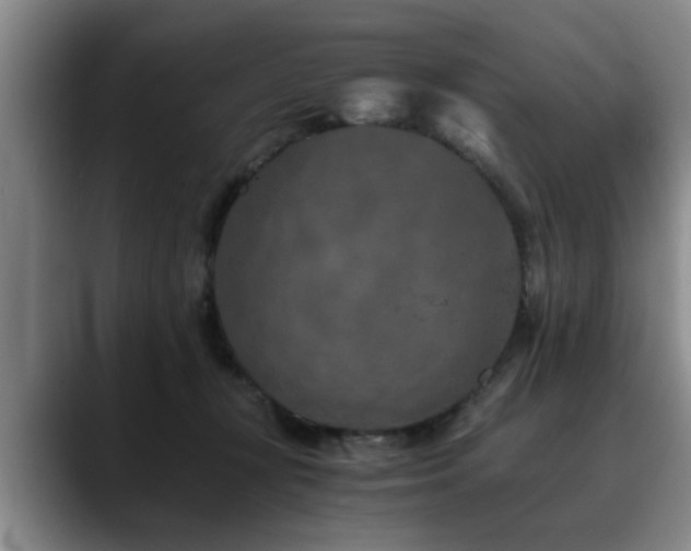 X0000090700367200707201201