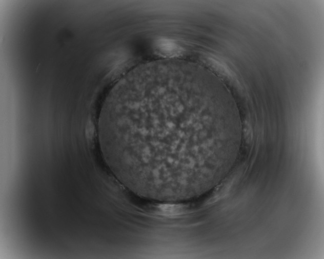 X0000090700371200707201202