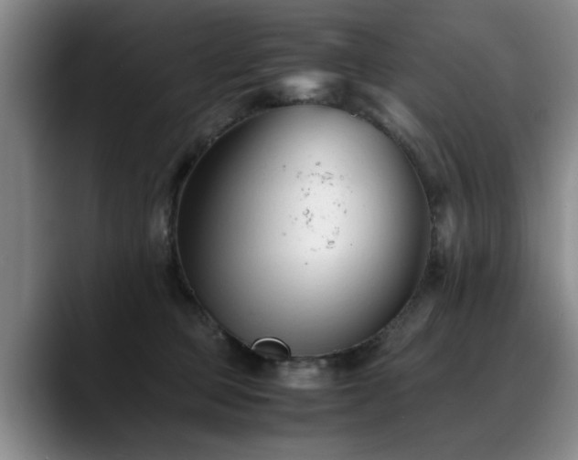 X0000090700373200707201202