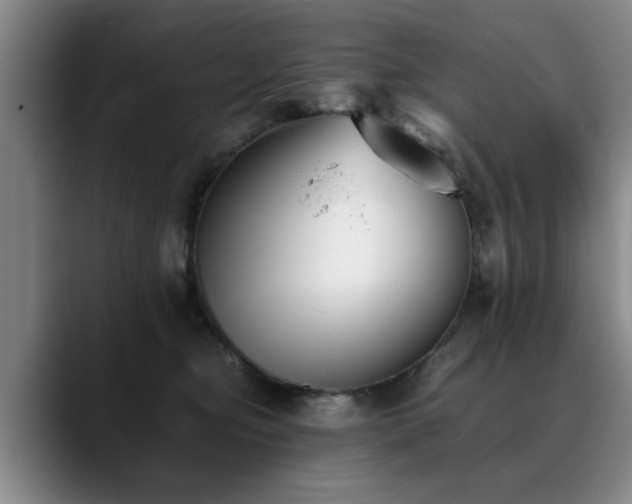 X0000090700374200707201202